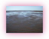 OST-I- (7)1.jpg